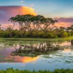 Pantanal Matogrossense National Park